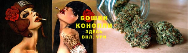 дмт Осташков