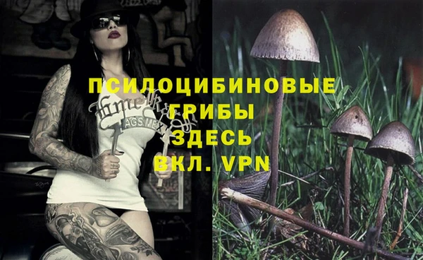 дмт Осташков