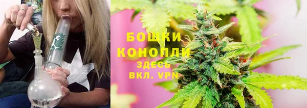 spice Абаза