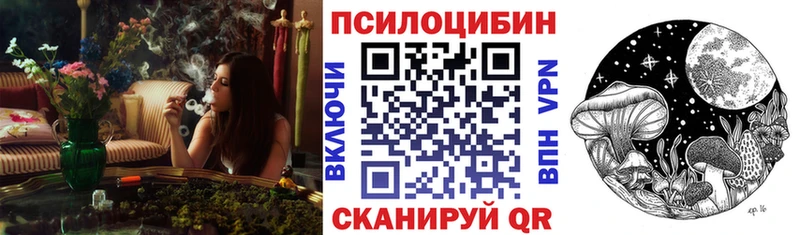 Псилоцибиновые грибы Psilocybine cubensis Урус-Мартан